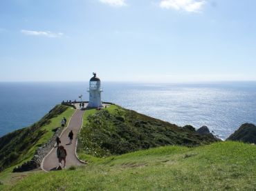 Fullers Cape Reinga & Ninety Mile Beach Tour